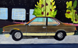 The Art of Staudt
