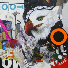 The Art of Staudt