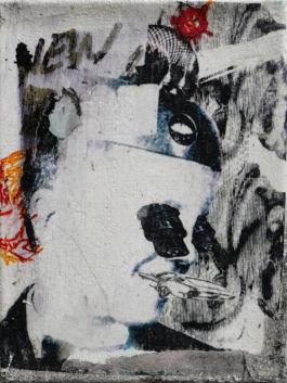 The Art of Staudt