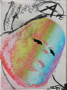 The Art of Staudt