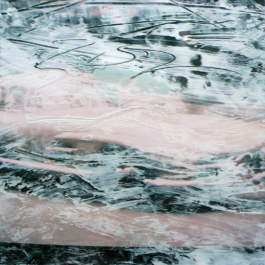 Novelle 2, acrylic on photography, 25x25cm, T. Staudt 2008. 