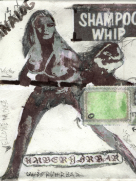 The Art of Staudt