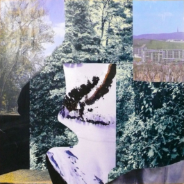 the art of Staudt