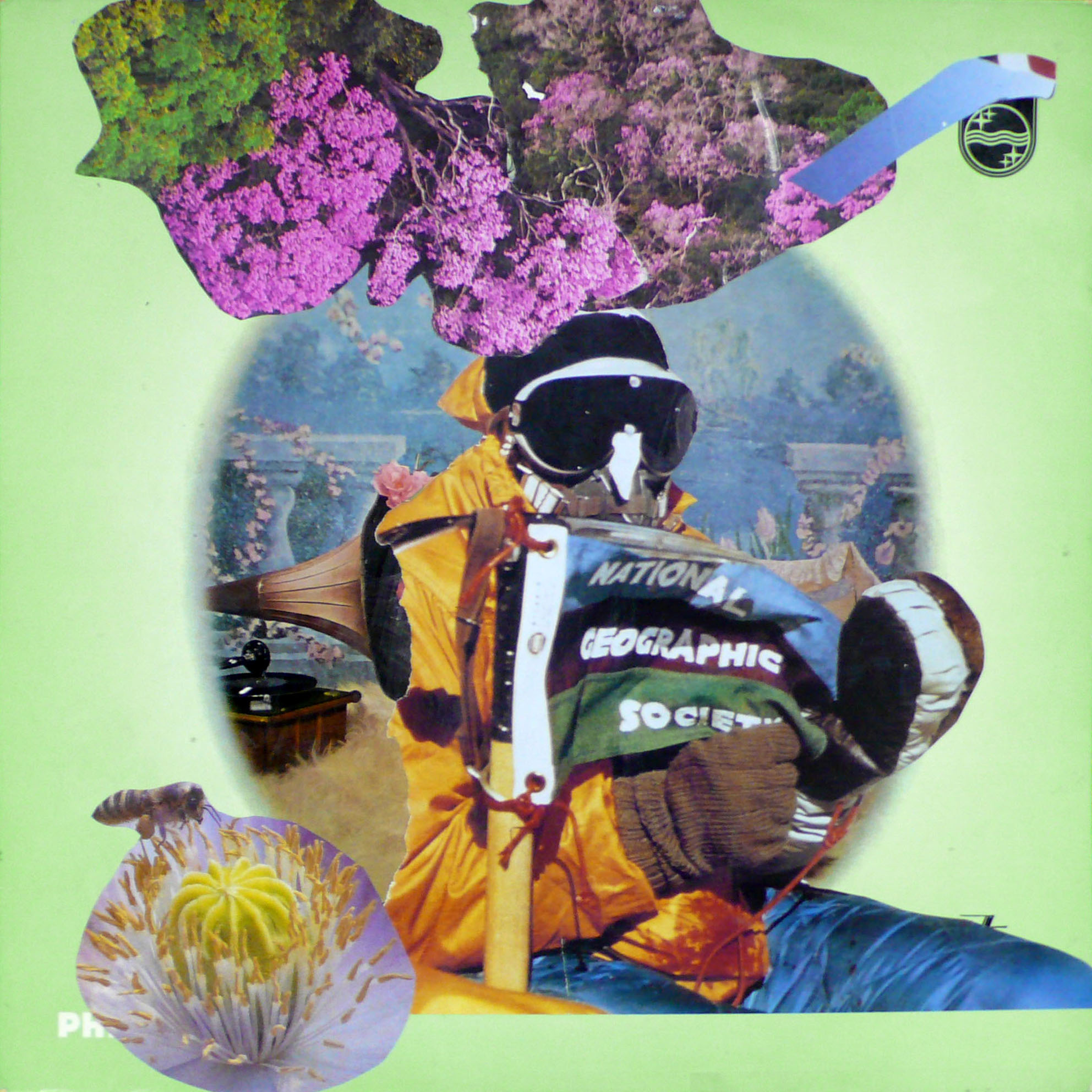 the art of Staudt