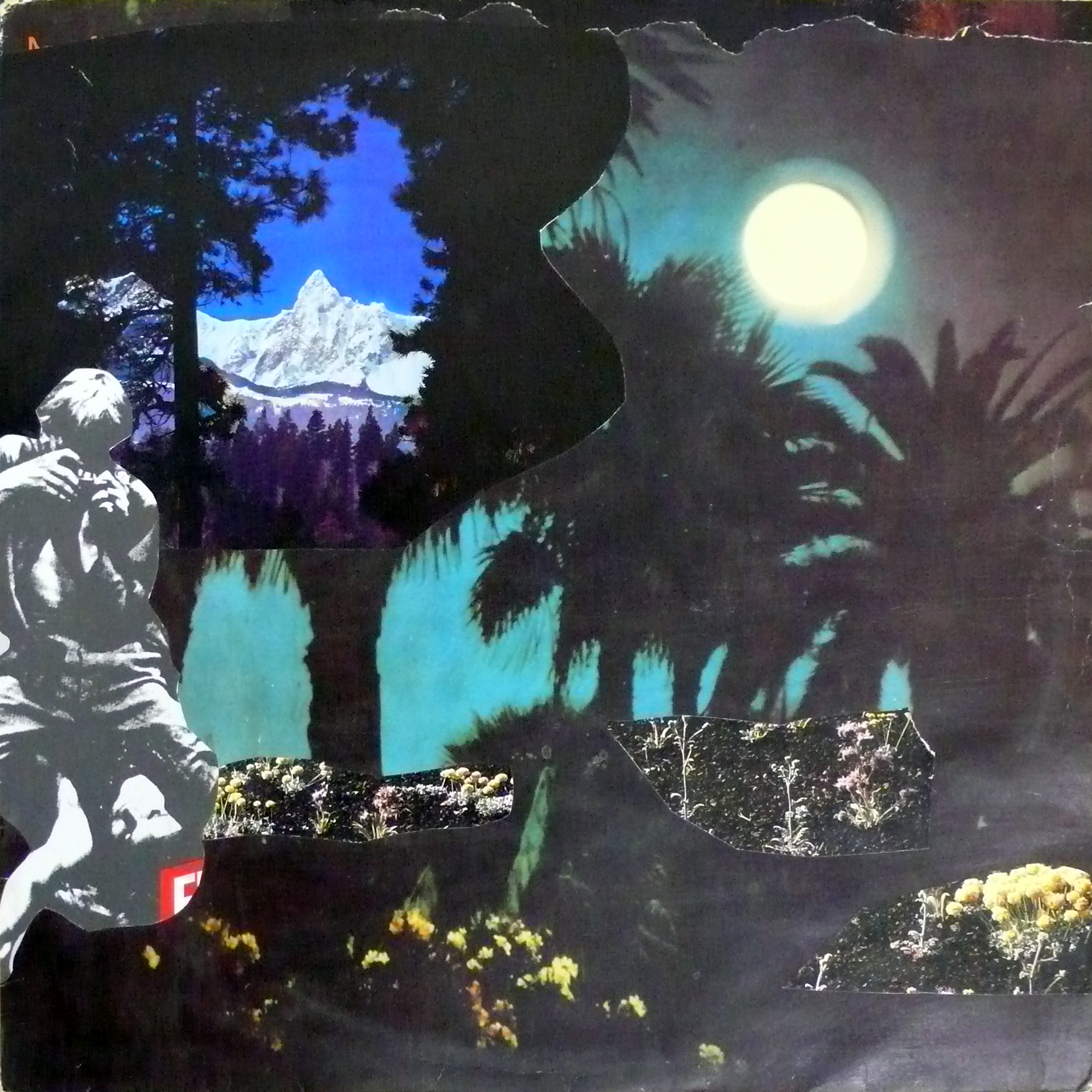 the art of Staudt